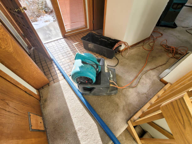 Best Water damage cleanup near me  in Gervais, OR