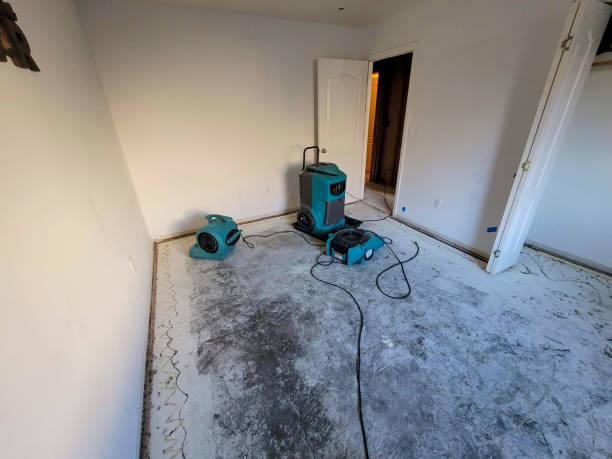  Gervais, OR Water damage restoration Pros