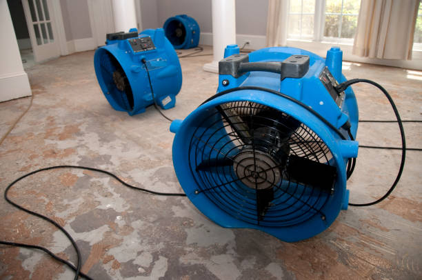 Water damage restoration insurance claims in Gervais, OR