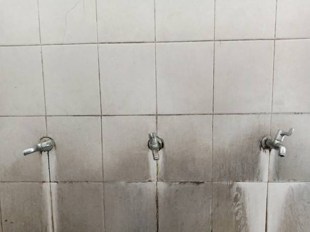 Local water damage restoration in Gervais, OR
