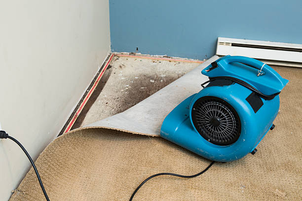 Reliable Gervais, OR Water damage restoration Solutions
